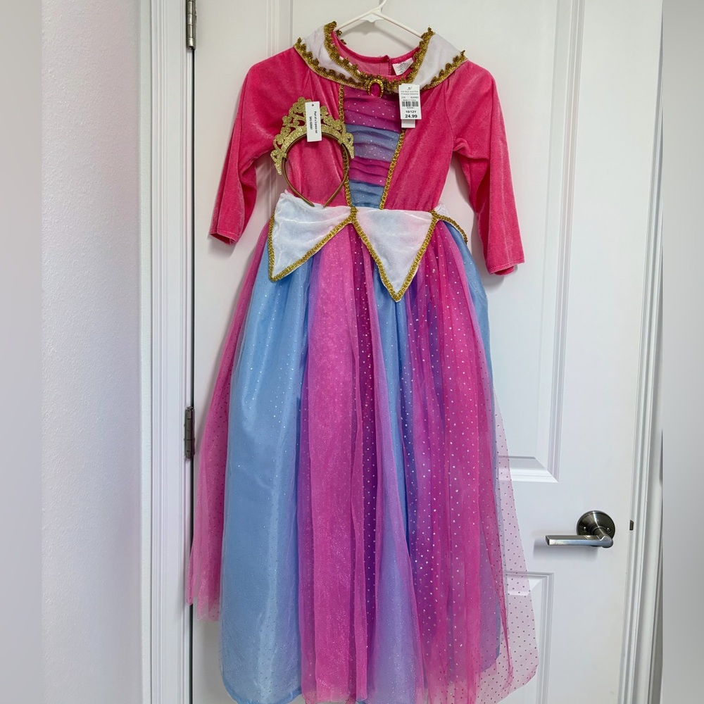 Girls Pink and Blue Princess Costume